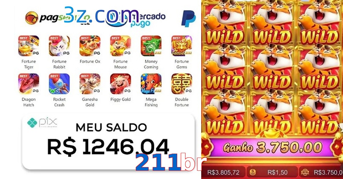 211br